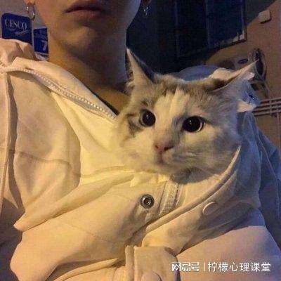 仙界幻世录手游果盘版下载